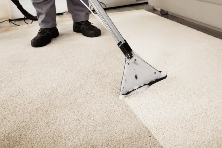 Domestic Carpet Clean