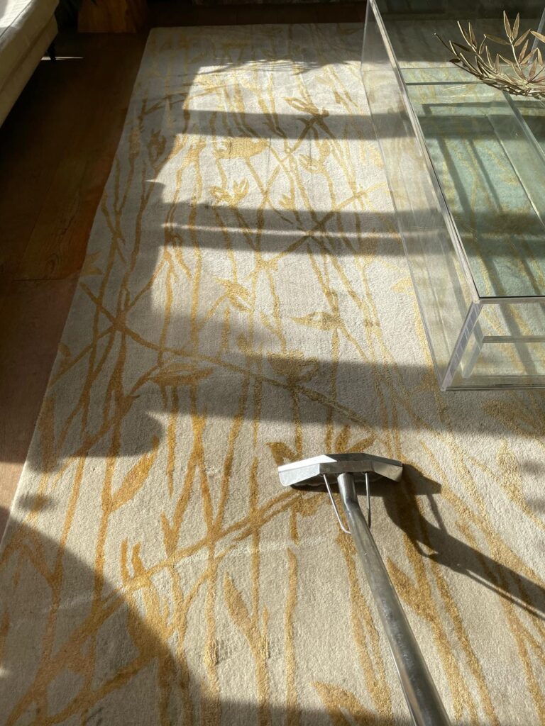 A carpet cleaner with a metal nozzle cleans a patterned rug in sunlight.