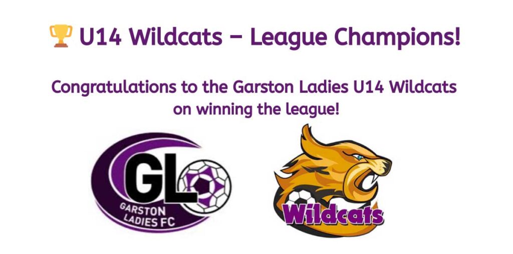 U14 Wildcats League Champions logos on white background.