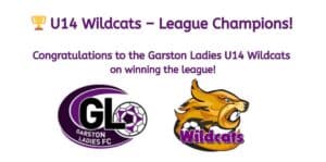 U14 Wildcats League Champions logos on white background.